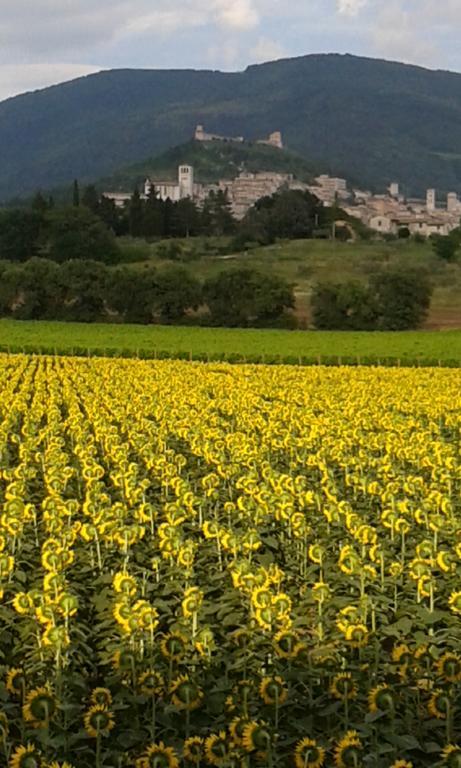 Camere I Monelli Assisi Kültér fotó