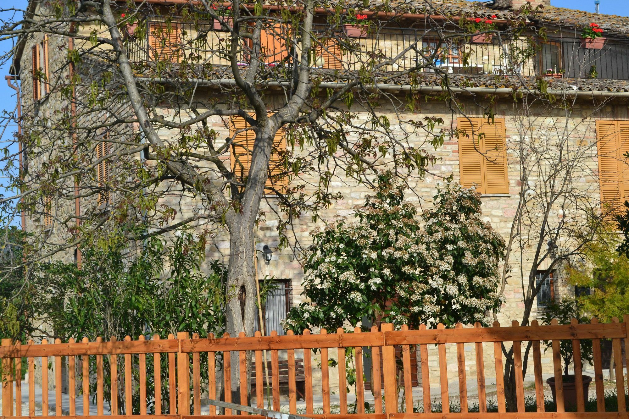 Camere I Monelli Assisi Kültér fotó